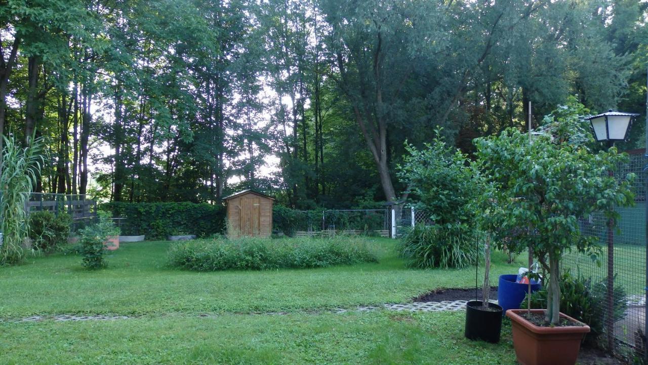Hotel Sud Alsace Ranspach-le-Bas Bagian luar foto